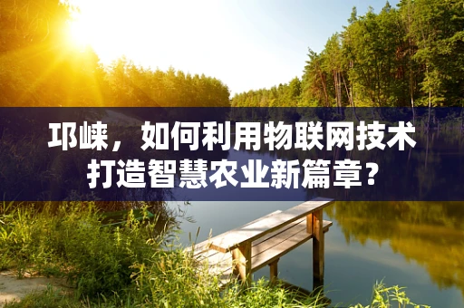 邛崃，如何利用物联网技术打造智慧农业新篇章？