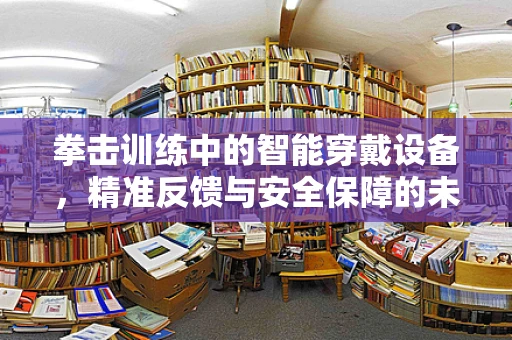 拳击训练中的智能穿戴设备，精准反馈与安全保障的未来？