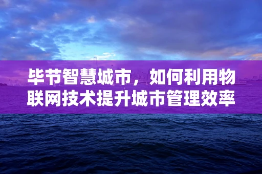 毕节智慧城市，如何利用物联网技术提升城市管理效率？