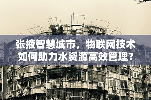 张掖智慧城市，物联网技术如何助力水资源高效管理？