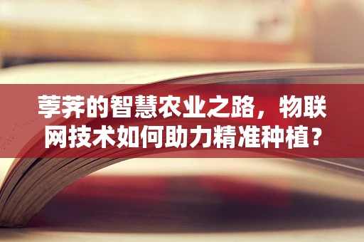 荸荠的智慧农业之路，物联网技术如何助力精准种植？