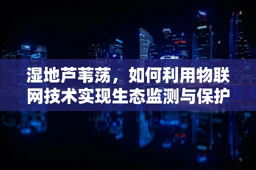 湿地芦苇荡，如何利用物联网技术实现生态监测与保护？