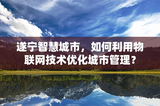 遂宁智慧城市，如何利用物联网技术优化城市管理？