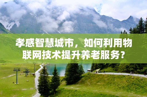 孝感智慧城市，如何利用物联网技术提升养老服务？