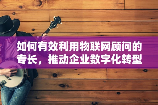 如何有效利用物联网顾问的专长，推动企业数字化转型？