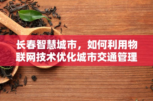 长春智慧城市，如何利用物联网技术优化城市交通管理？