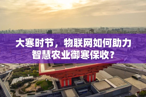 大寒时节，物联网如何助力智慧农业御寒保收？