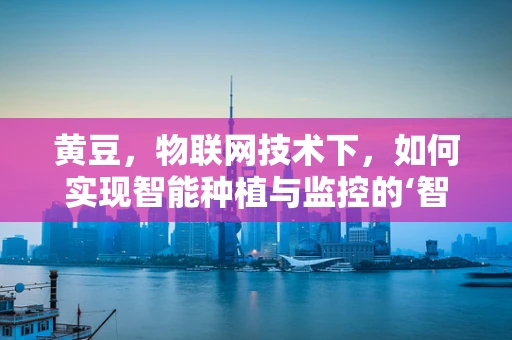 黄豆，物联网技术下，如何实现智能种植与监控的‘智慧豆’？