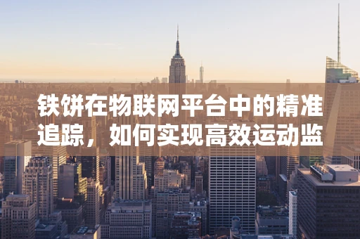 铁饼在物联网平台中的精准追踪，如何实现高效运动监测？