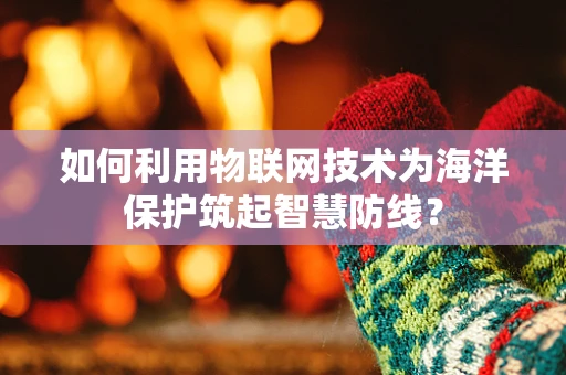 如何利用物联网技术为海洋保护筑起智慧防线？