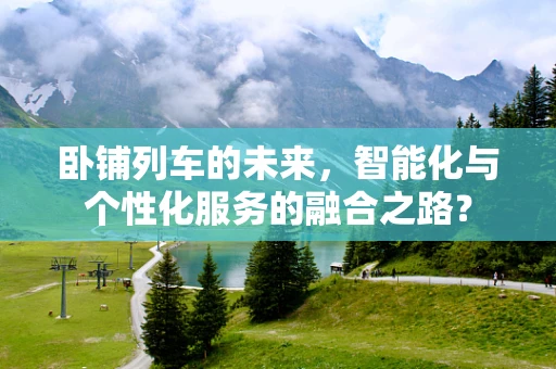 卧铺列车的未来，智能化与个性化服务的融合之路？