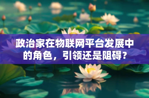 政治家在物联网平台发展中的角色，引领还是阻碍？