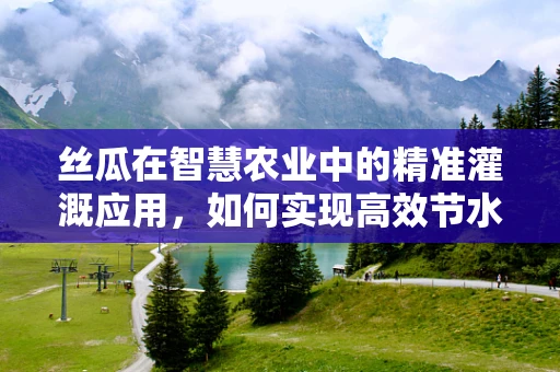丝瓜在智慧农业中的精准灌溉应用，如何实现高效节水？