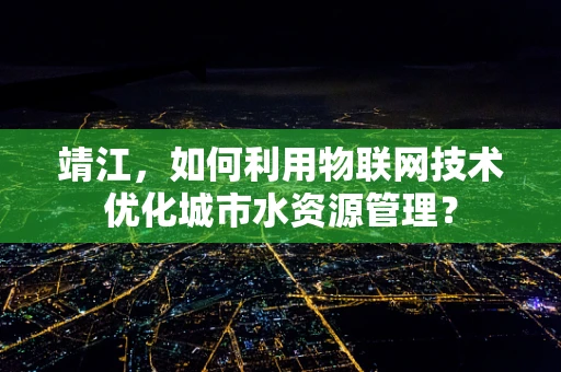 靖江，如何利用物联网技术优化城市水资源管理？