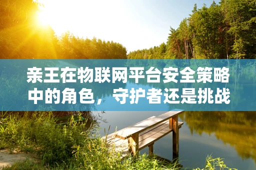 亲王在物联网平台安全策略中的角色，守护者还是挑战者？