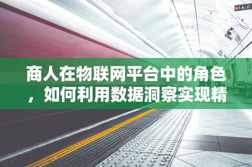 商人在物联网平台中的角色，如何利用数据洞察实现精准营销？