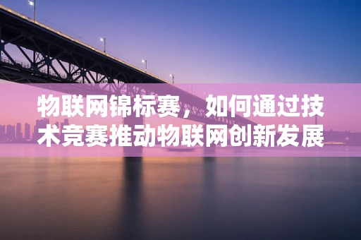 物联网锦标赛，如何通过技术竞赛推动物联网创新发展？