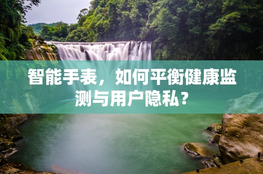 智能手表，如何平衡健康监测与用户隐私？