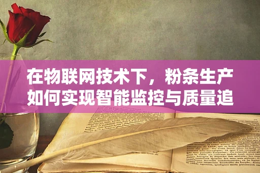 在物联网技术下，粉条生产如何实现智能监控与质量追溯？