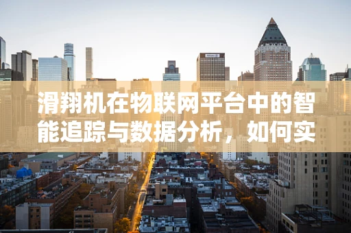 滑翔机在物联网平台中的智能追踪与数据分析，如何实现高效监控？